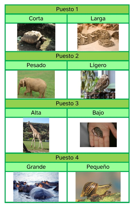 La imagen muestra una composición de imágenes de animales y nombres de un adjetivo que los describe