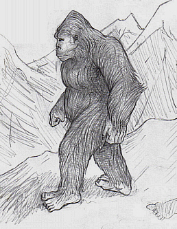 Sasquatch