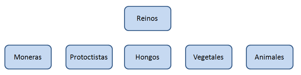 reinos