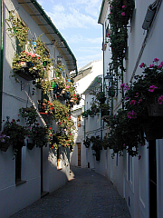 Priego de Córdoba