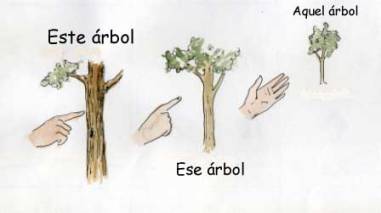 Determinantes