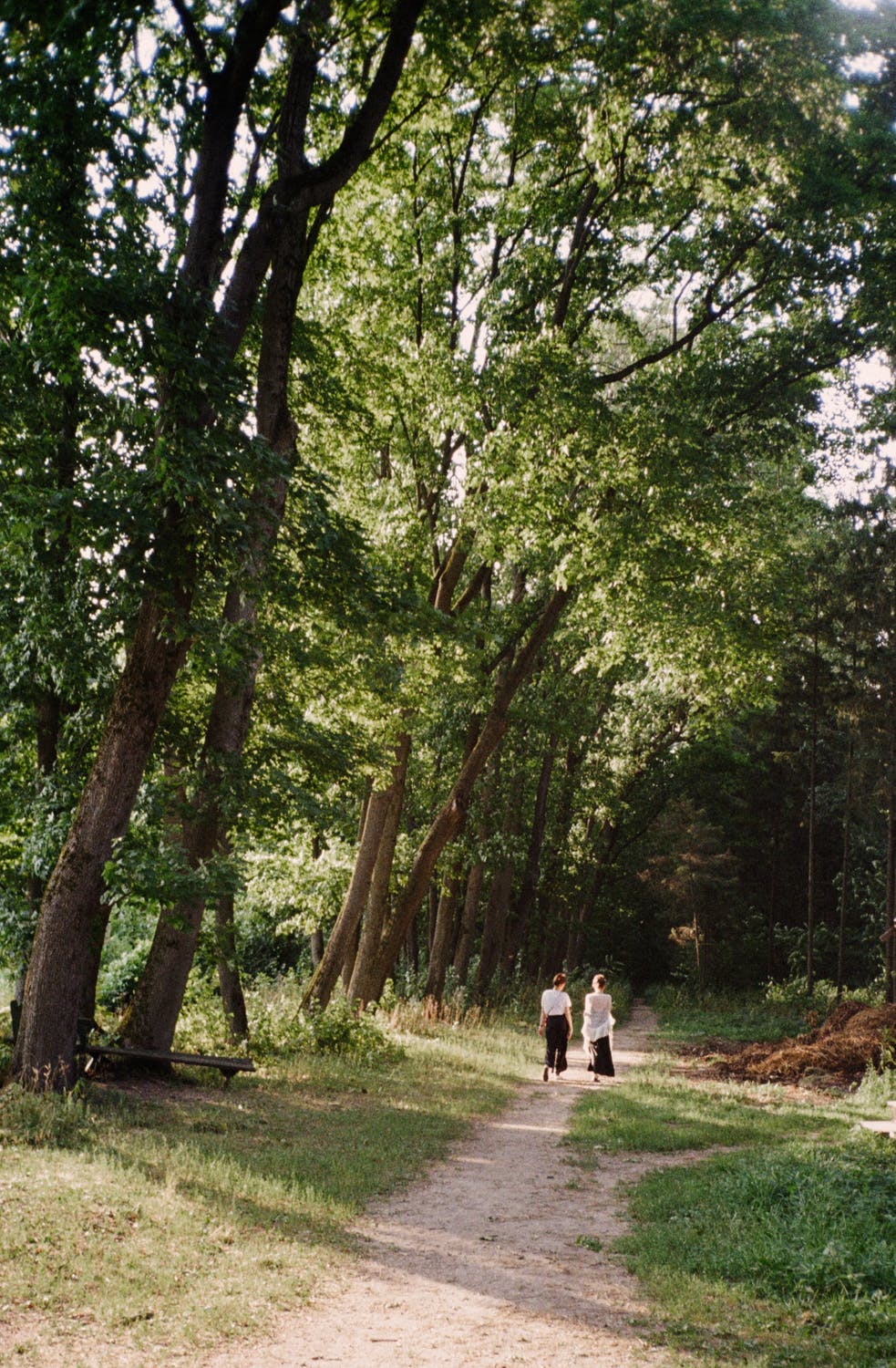La imagen muestra dos mujeres caminando por un bosque. 