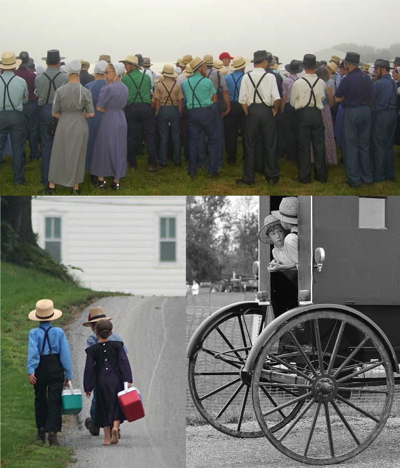 La imagen muestra a su vez tres imágenes unidas donde se ven distintos momentos de la Comunidad Amish: un grupo de espaldas, tres niños andando y otros dos más sentado dentro de un carro.