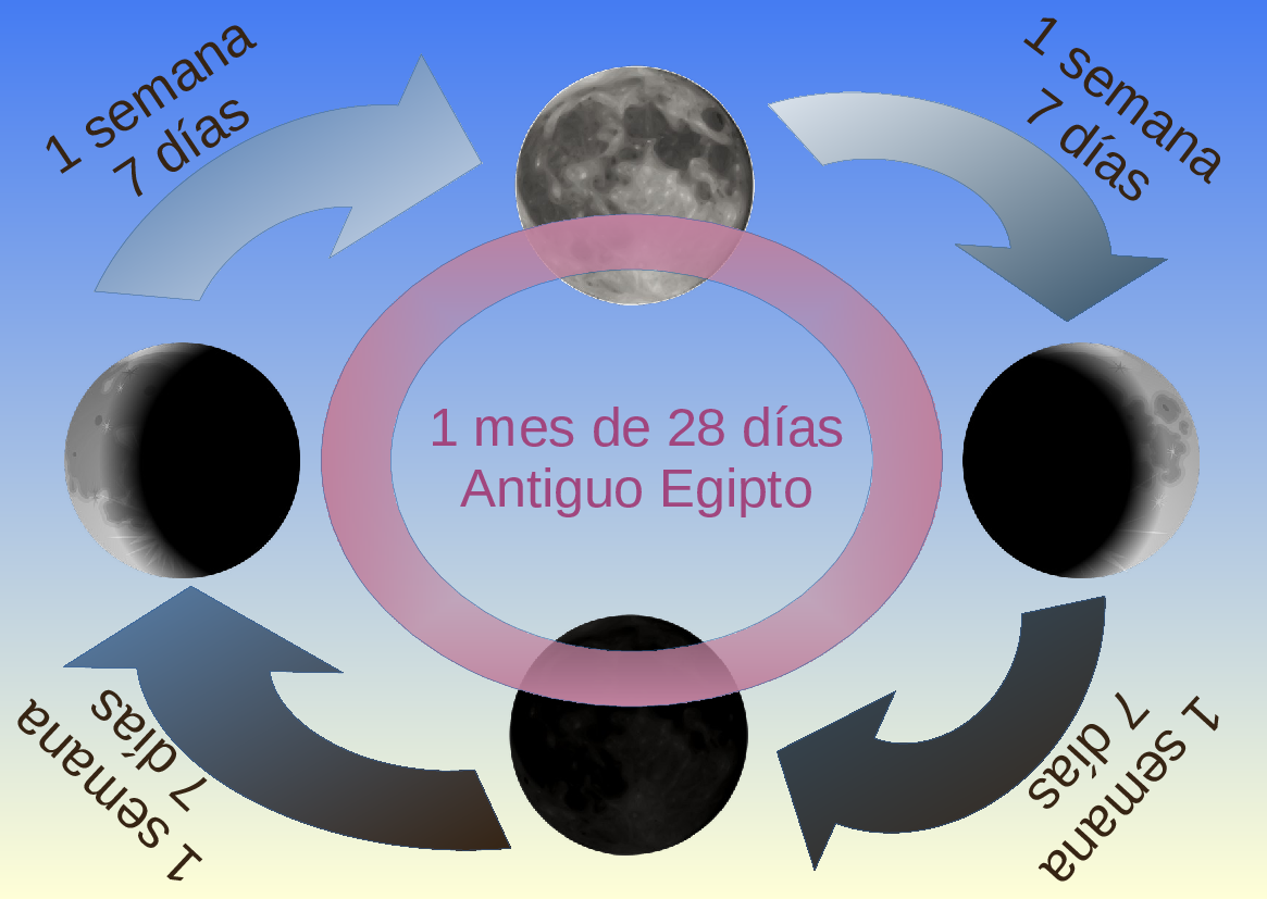 LunaREA.png