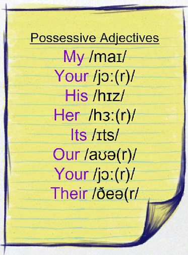 possessive adjectives