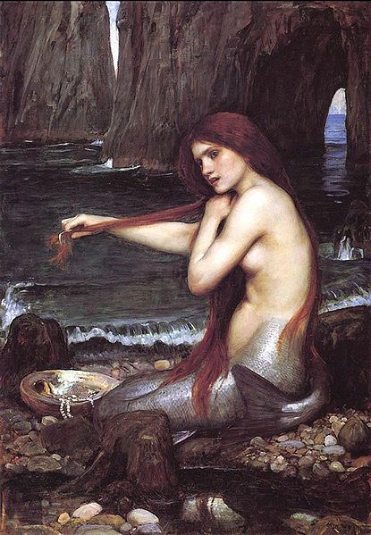 Una sirena del tipo medieval (cola de pez) se peina entre los arrecifes