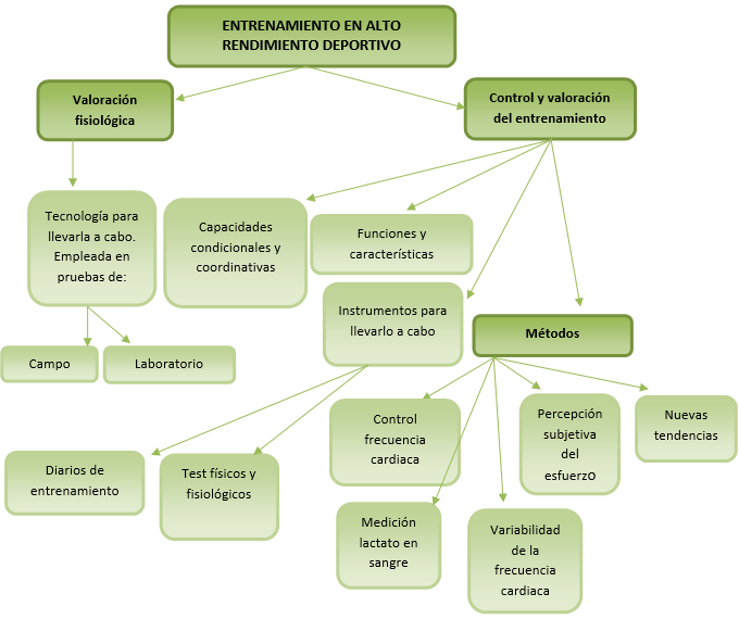Mapa conceptual Mapa conceptual