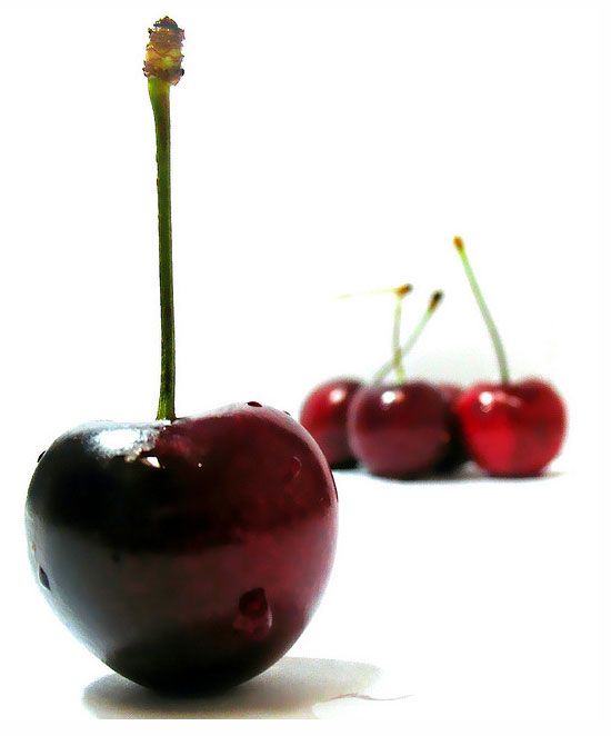 http://www.flickr.com/photos/53611153@N00/830161673/