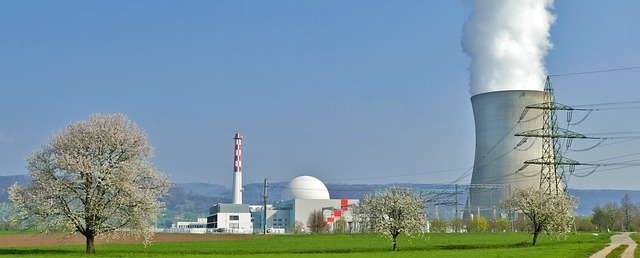 central nuclear