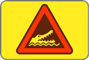 Crocodile