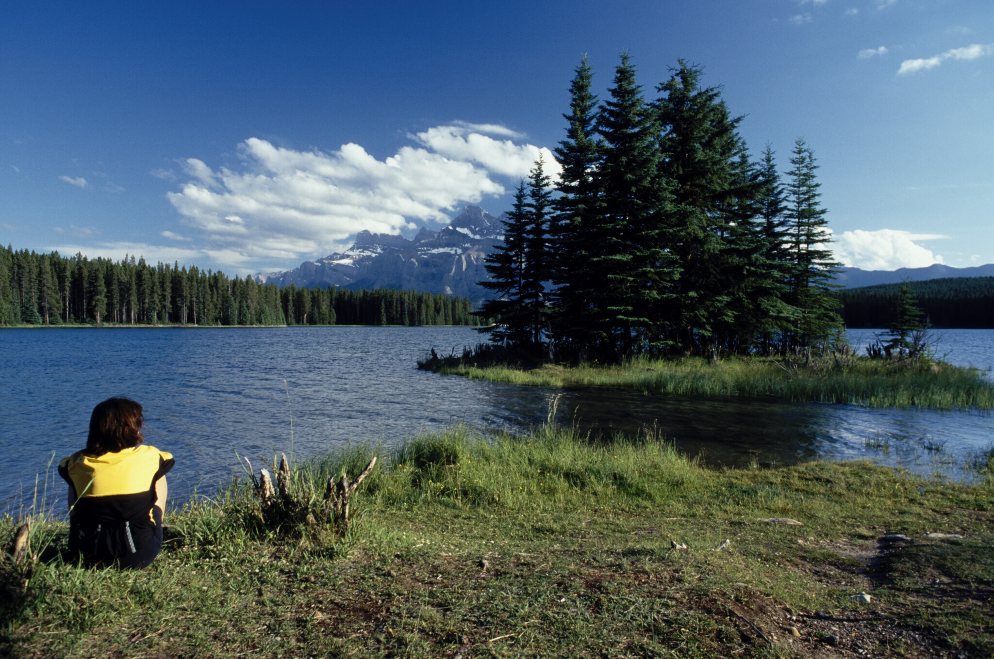 La imagen es un paisaje en el que se distingue un lago y unos árboles que están en medio del lago formando una isla. En la orilla hay una figura humana sentada.