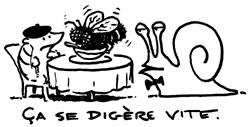 adv3_mouche