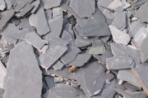 pizarra