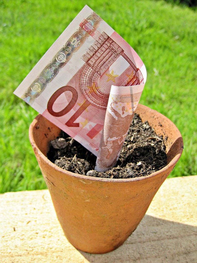 Imagen sobre '10 Euro Note in a plant pot'
