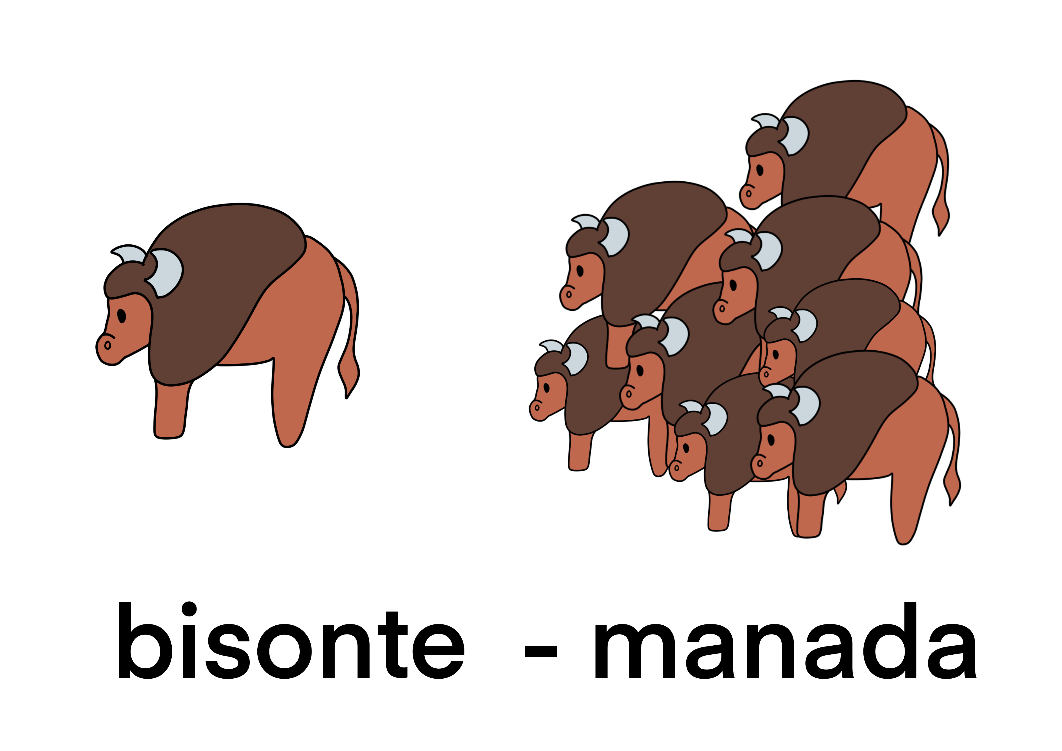 Bisonte - Manada