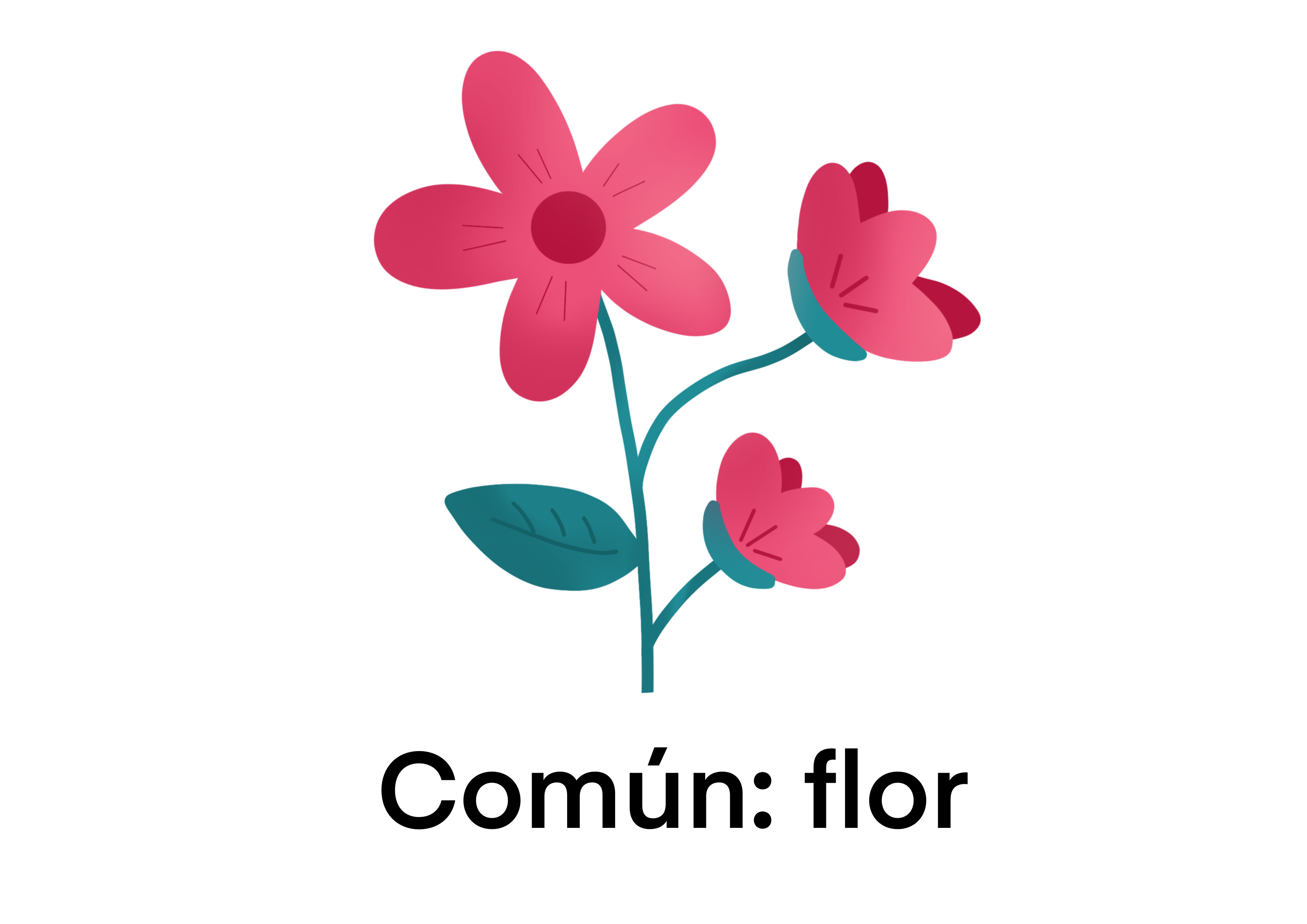 Flor: común