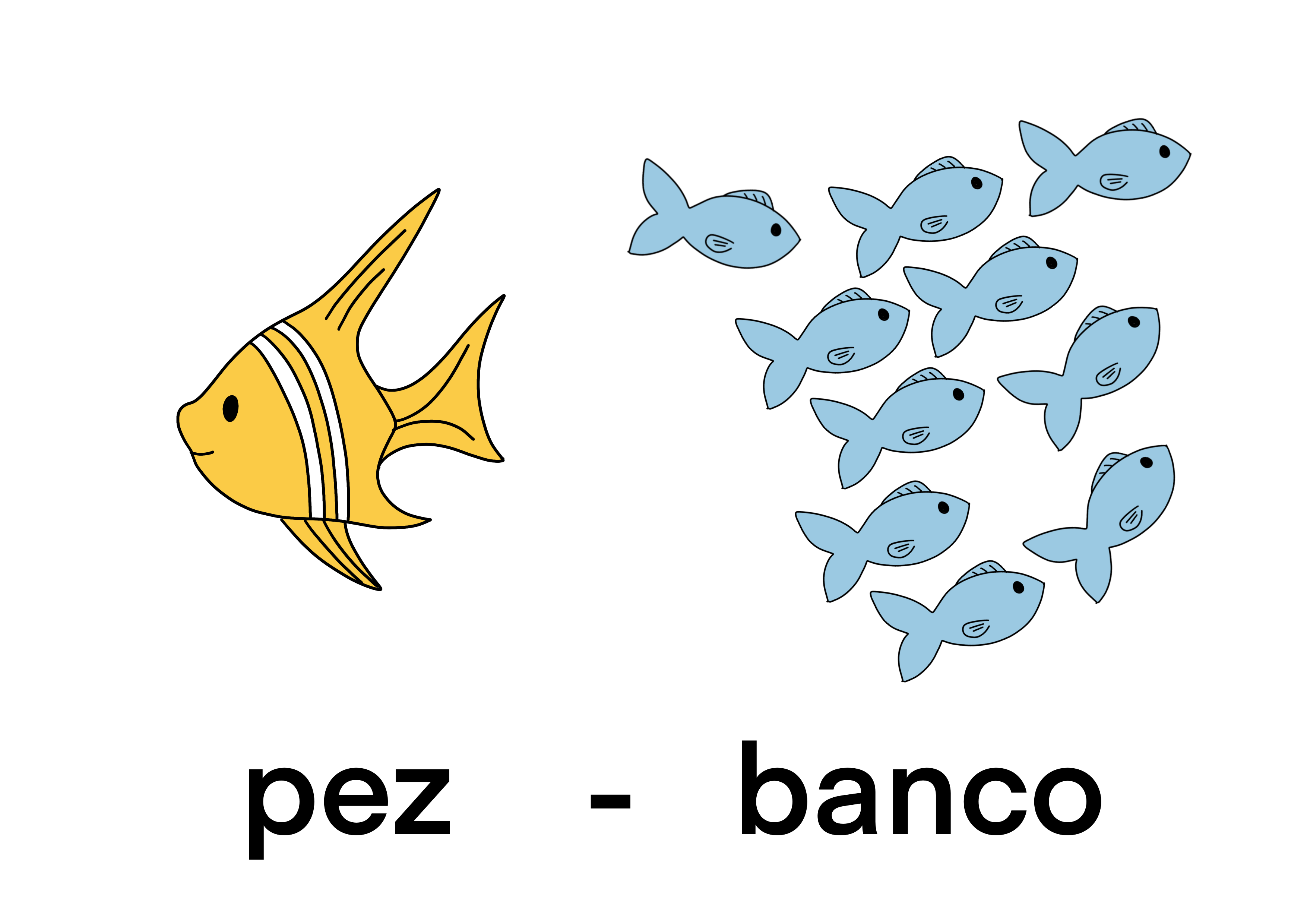 pez - banco