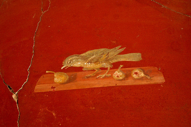 Detalle de un fresco romano, Villa de Popea, Oplontis