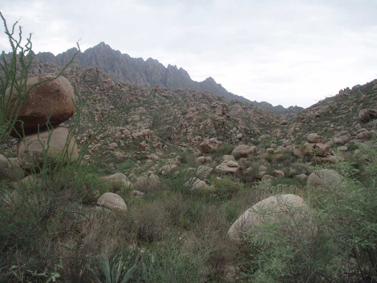 Fotografía de Dinamita, Durango, México