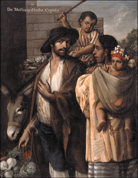 Cabrera Coyote, mestizo