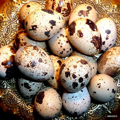 Esta imagen muestra unos huevos pequeños con manchas marrones