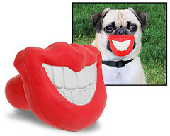 Esta imagen muestra a un perro con unos grandes dientes muy blancos