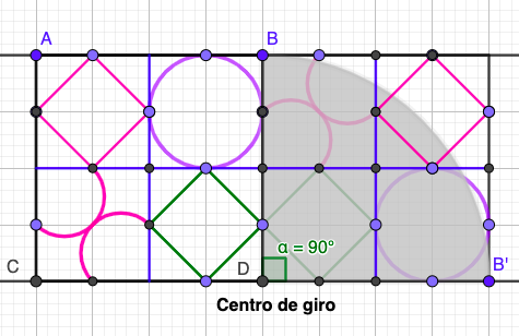 Opción D_2